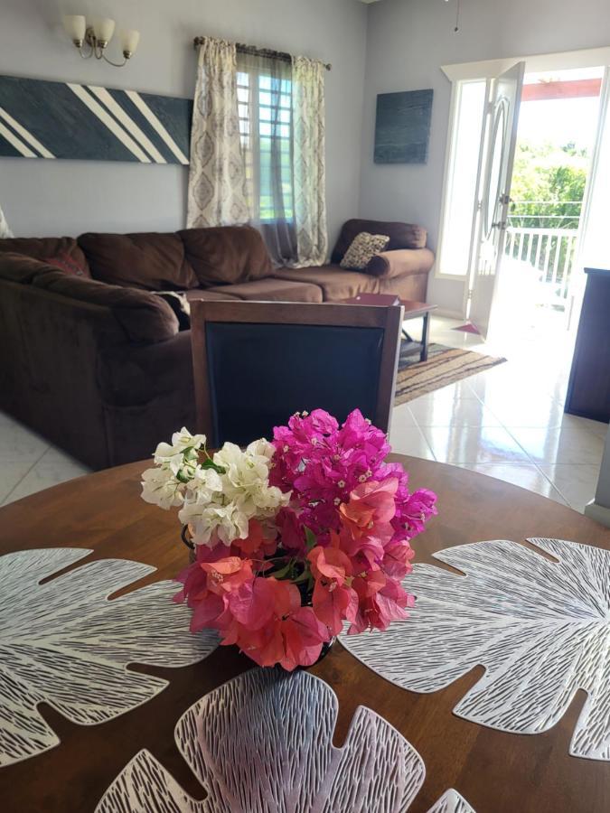 Mount Joy Getaway Villa Parham Exteriör bild
